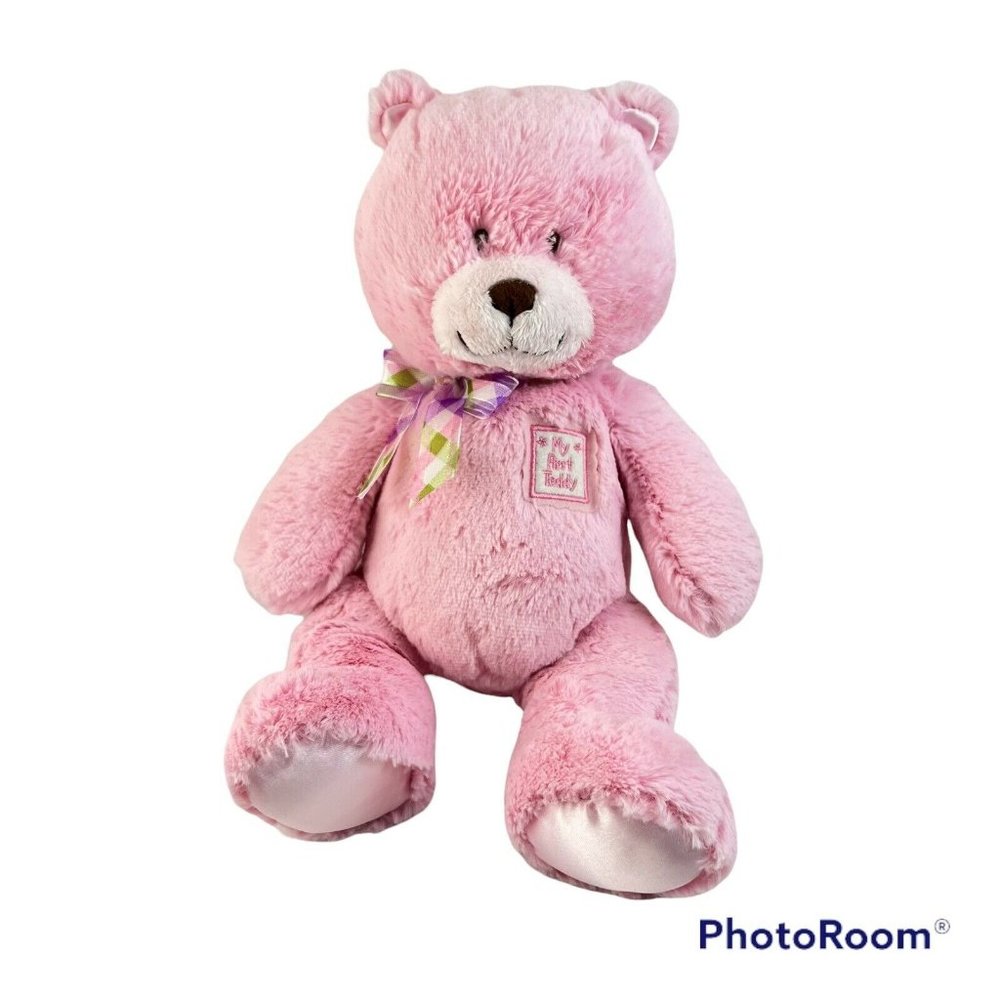 Kids Preferred My First Teddy Pink 14 “ T8